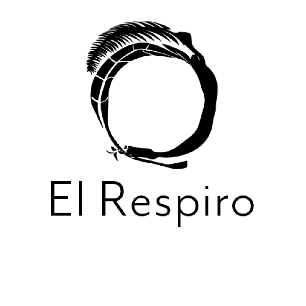 Logo de proyecto histórico de Cubo SEO 8