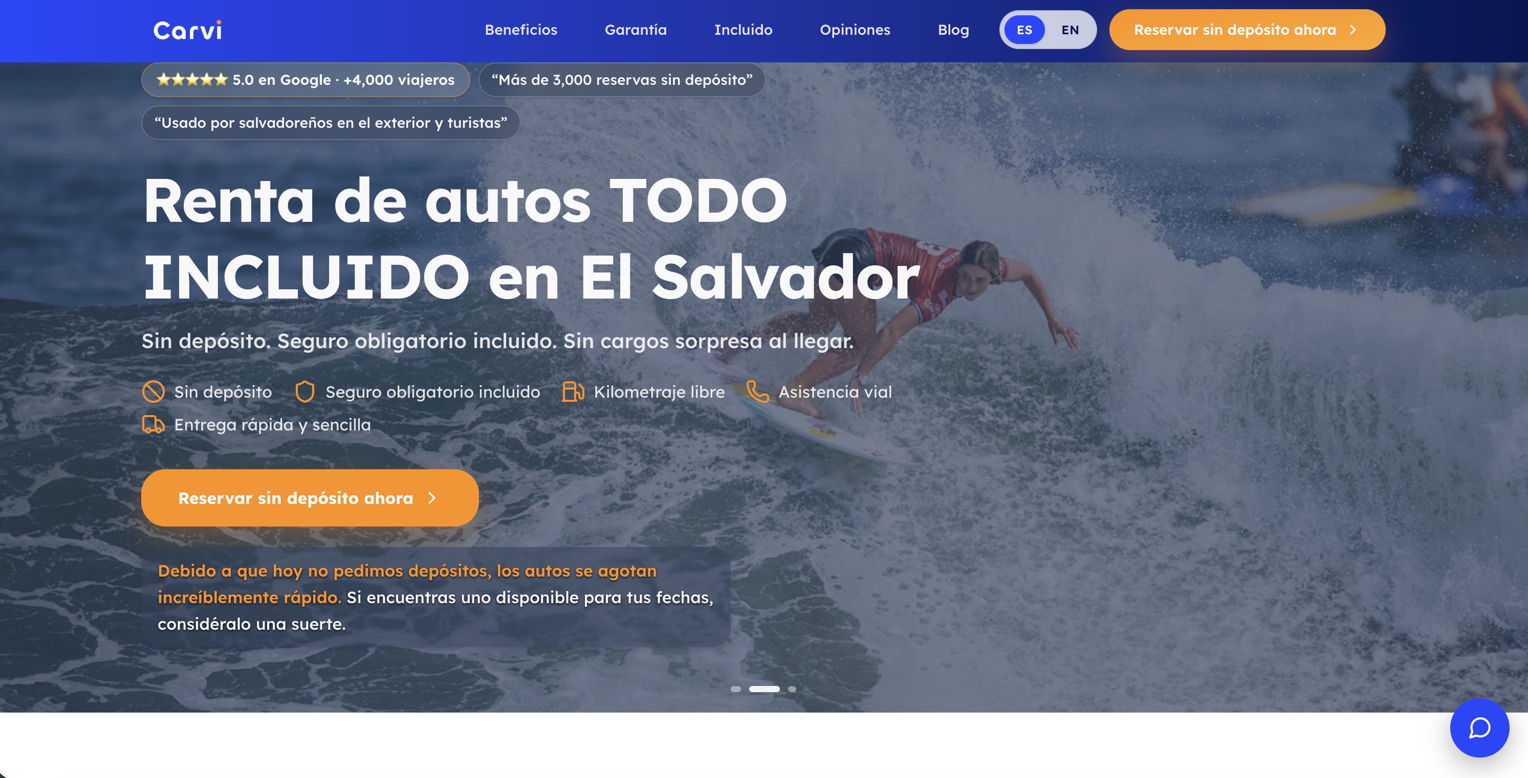 Carvi App website screenshot provided for the project